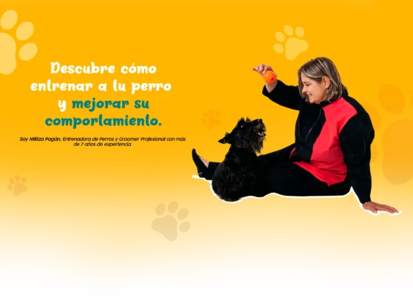 La Fórmula Para Entrenar a Tu Perro - Benefactor (Copy 1)