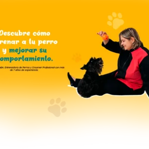 La fórmula de Entrenar a tu Perro