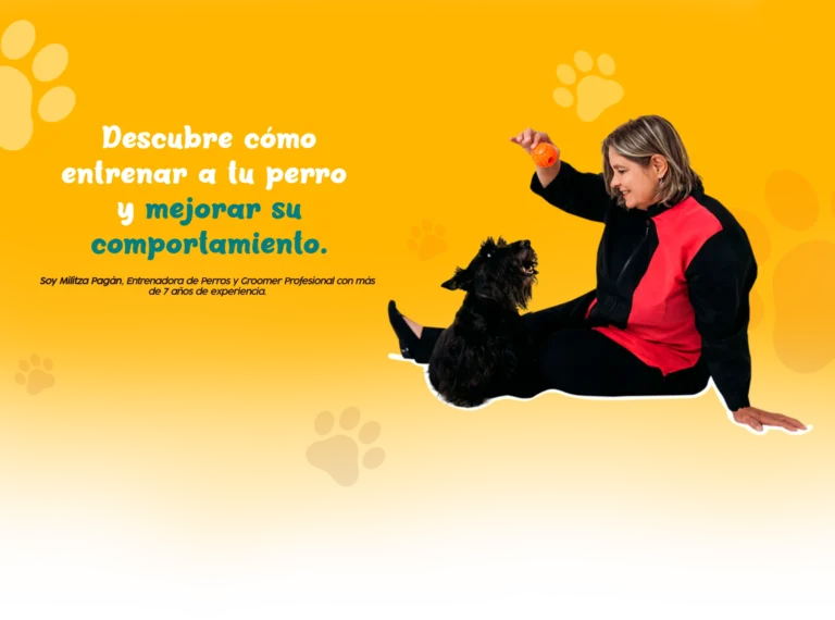 La fórmula de Entrenar a tu Perro